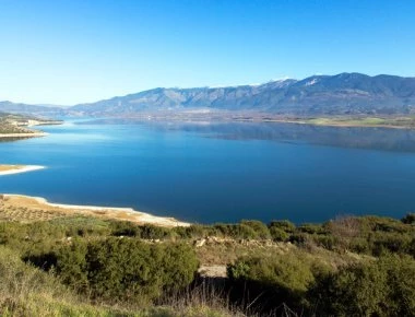 Θεσσαλονίκη: Αγωγός του στρατού μολύνει με πετρέλαιο τη λίμνη Πολυφύτου